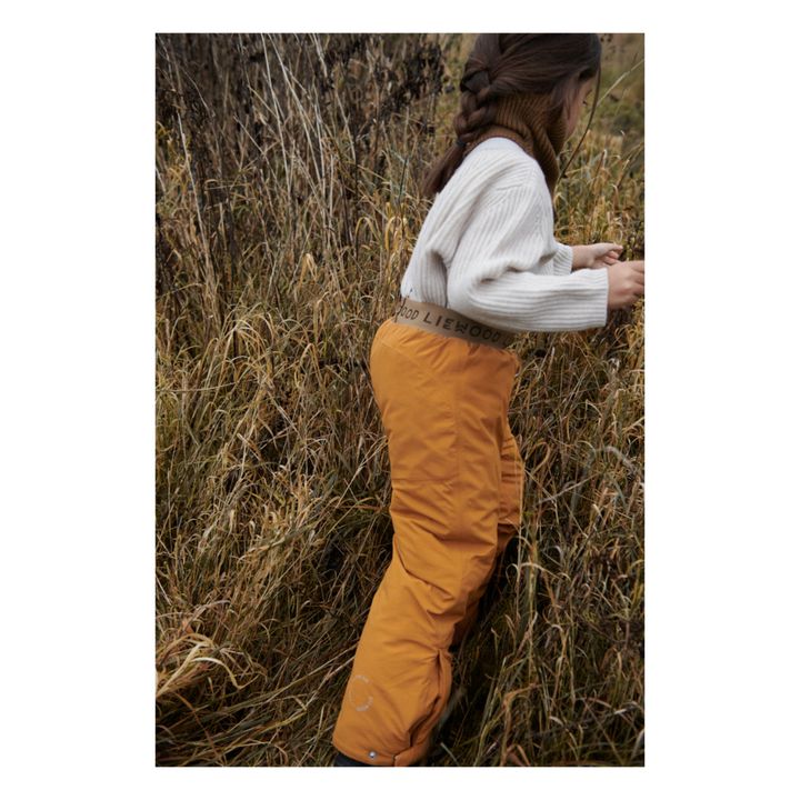 Cayley Recycled Polyester Ski Trousers | Caramel- Product image n°1