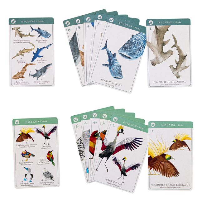 Happy Families Game - Species Edition
