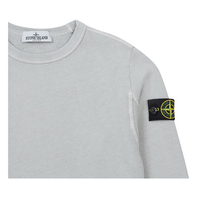 Standard Sweatshirt | Grau