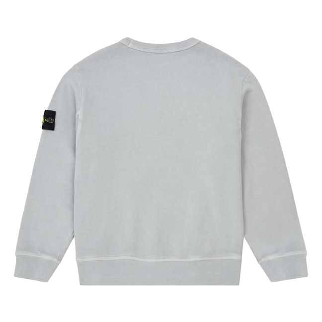 Standard Sweatshirt Grau