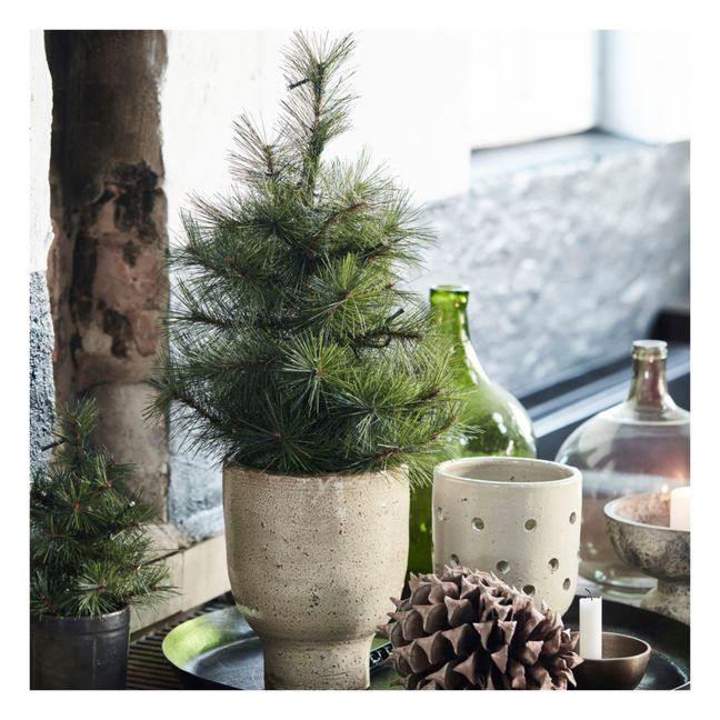 Sapin de Noël Pinus - 20 leds