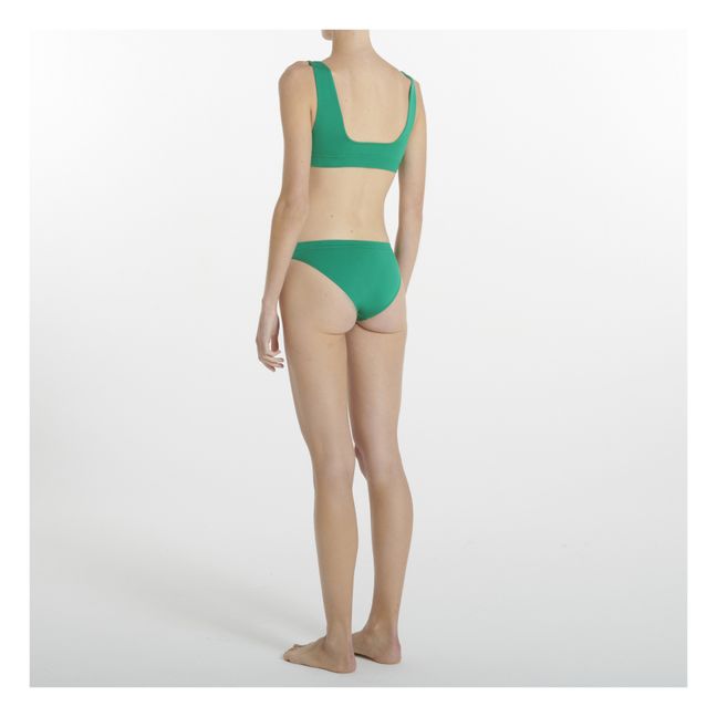 Evolve Briefs | Verde