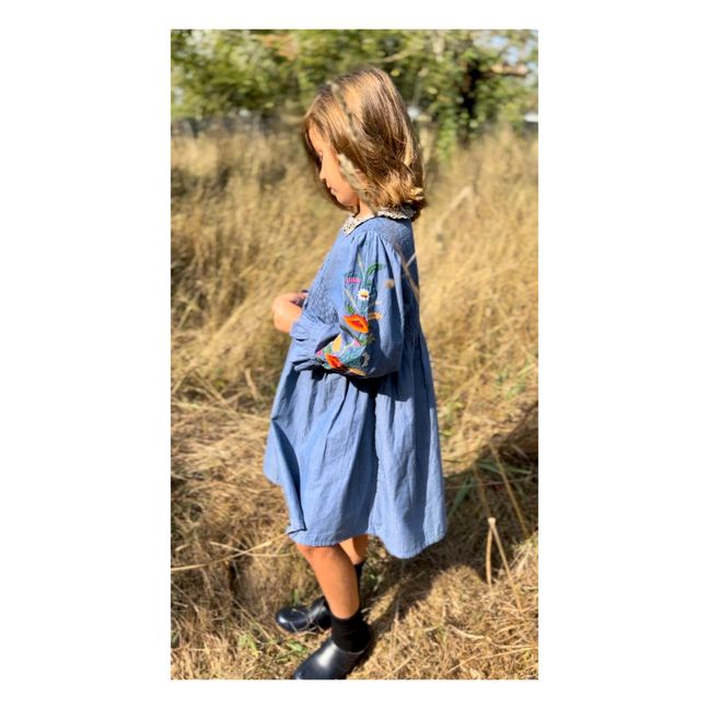 Embroidered Chambray Dress | Denim blue