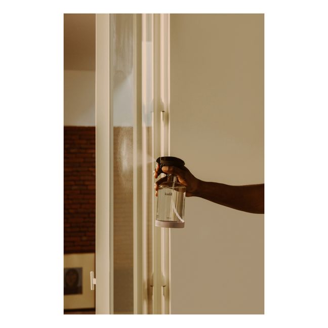Glass and Mirror Cleaning Kit - Cucumis