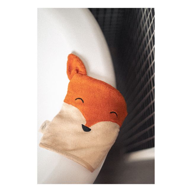Gaspard Wash Glove | Orange