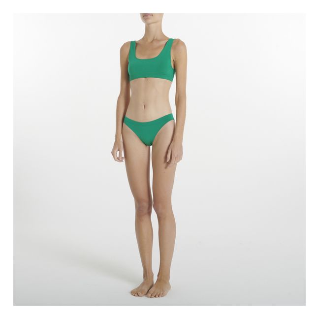Evolve Briefs | Verde
