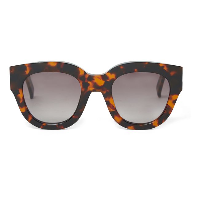 Cleo Havana Sunglasses | Braun