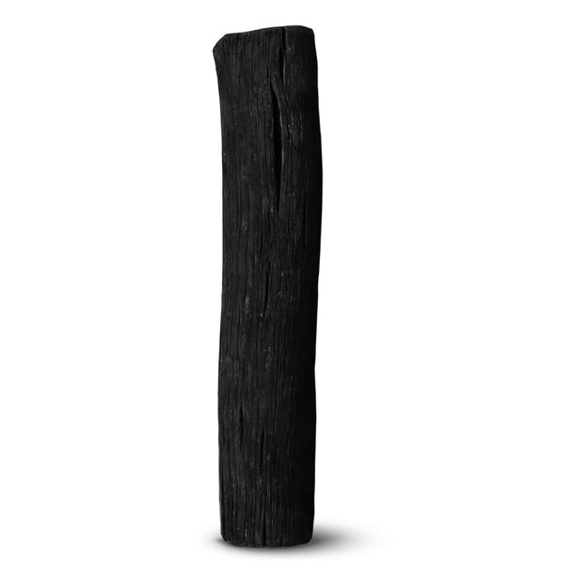 Active Charcoal Water Filter | Black