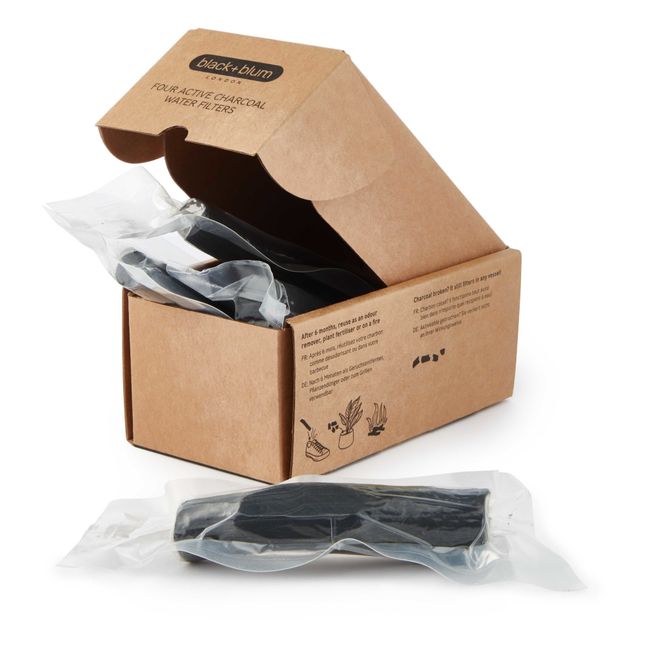 Pack de 4 filtros de carbón activo para agua | Negro