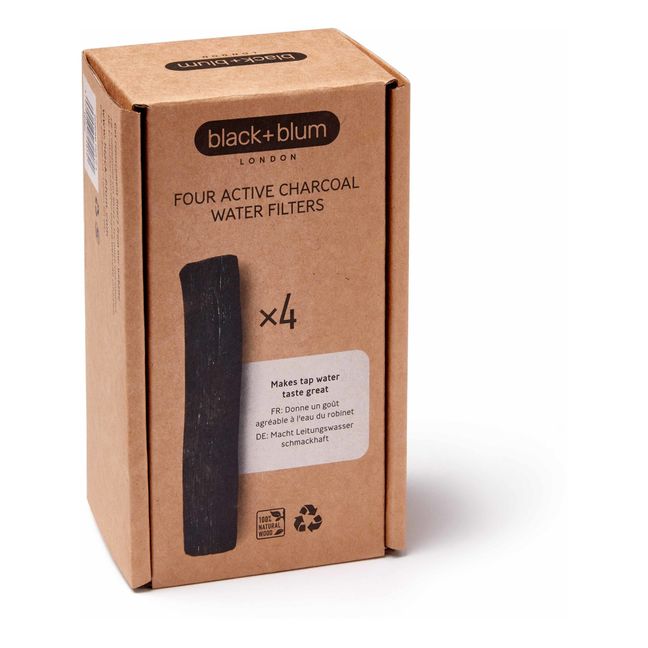 Pack de 4 filtros de carbón activo para agua | Negro
