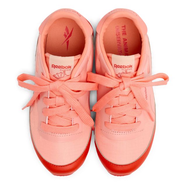 The Animals Observatory X Reebok Classic Sneakers | Pink