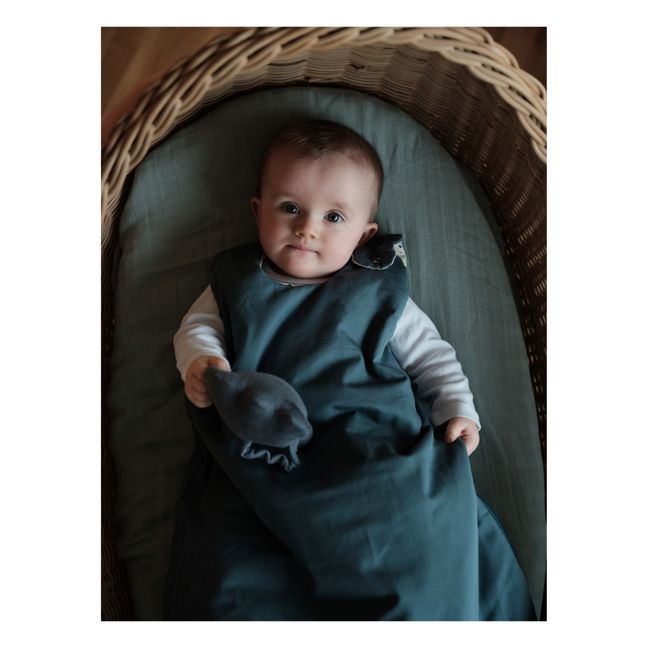 Organic Cotton Baby Sleeping Bag | Blue