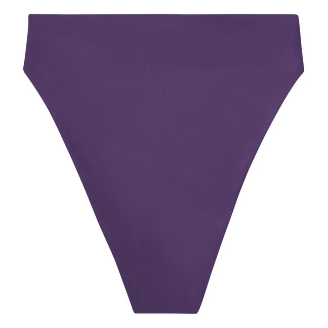 Incline Bikini Bottoms | Purple