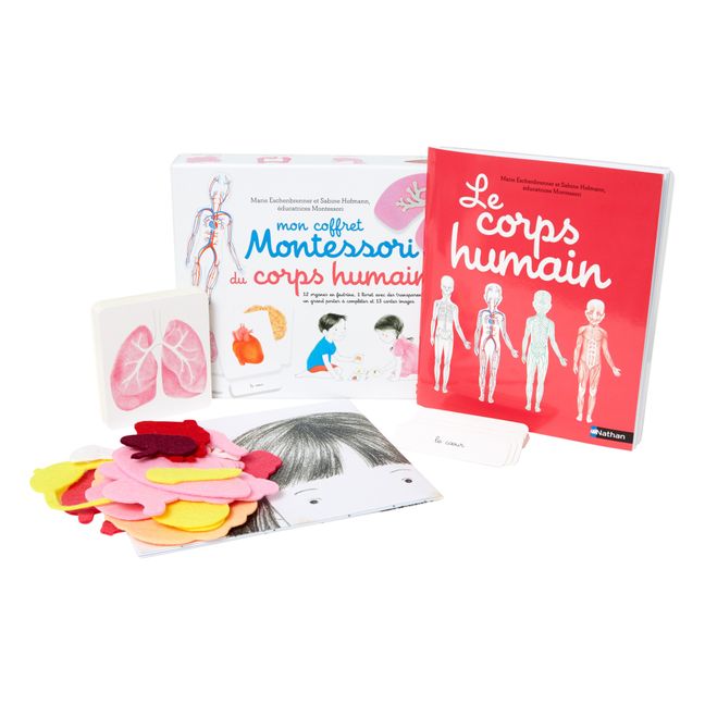 Montessori Human Body Kit