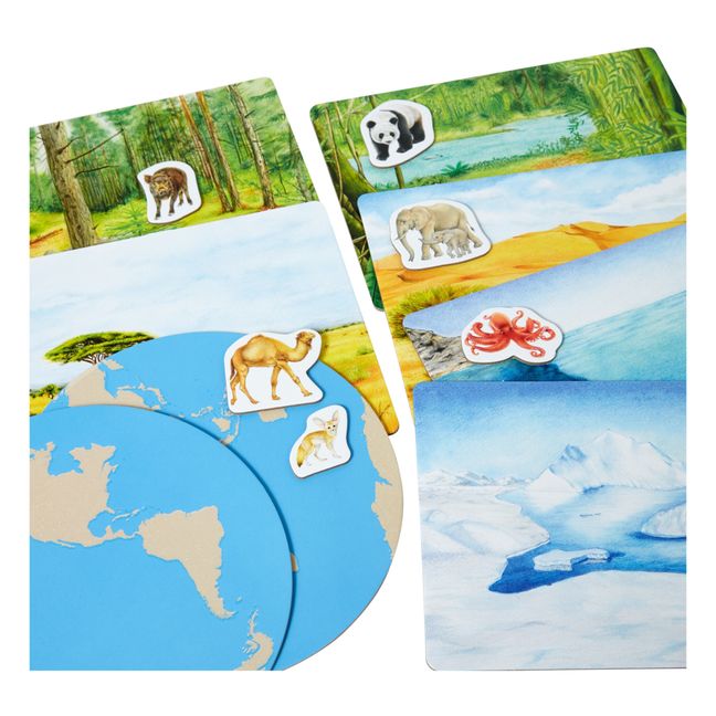 Coffret Montessori : les animaux du monde et leurs milieux