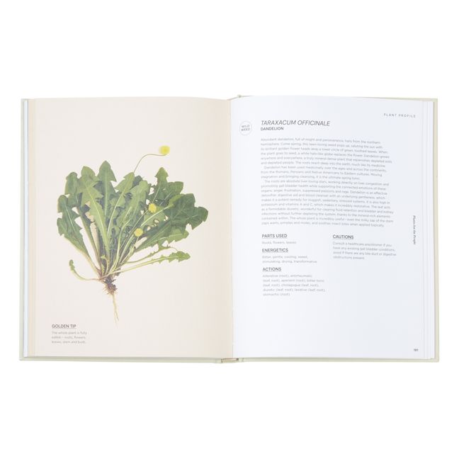 Plants for the People A Modern Guide to Plant Medicine - EN