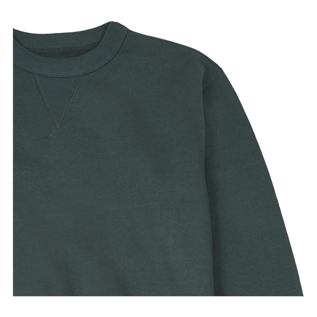 Sweatshirt LANIAKEA | Chromgrün