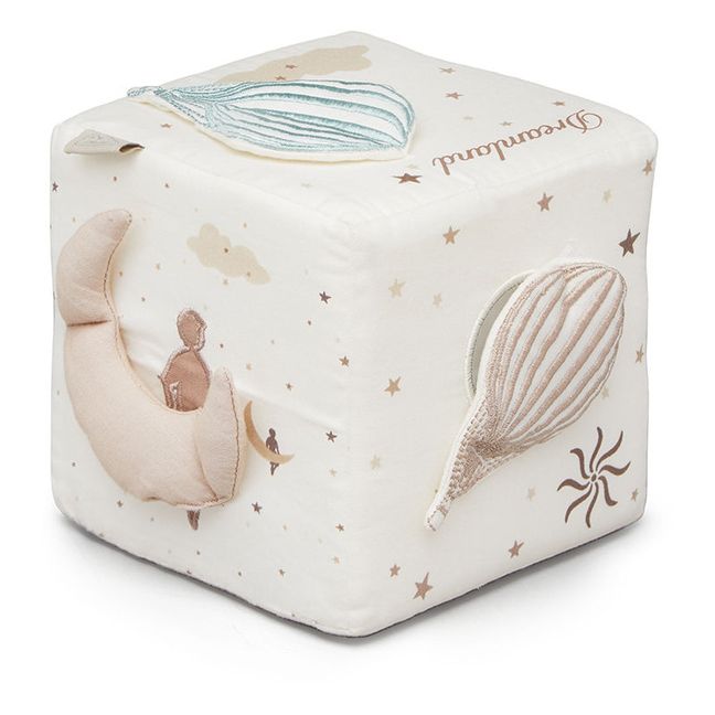 Activity Cube