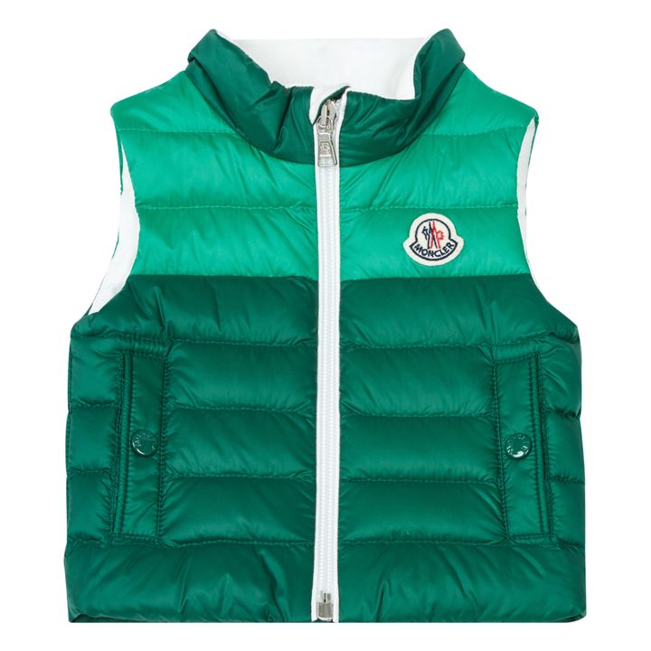 Akinari Puffer Vest | Verde bosque- Imagen del producto n°0