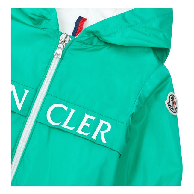 Veste Erdvile | Vert