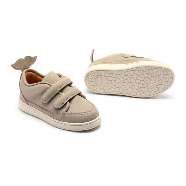Zapatillas con velcro Rian Ballena | Gris