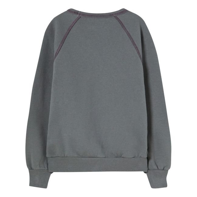 Shark Capsule 2015 Sweater - Adult Collection | Grey