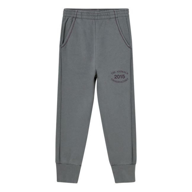 2015 Capsule Panther Jogger | Gris