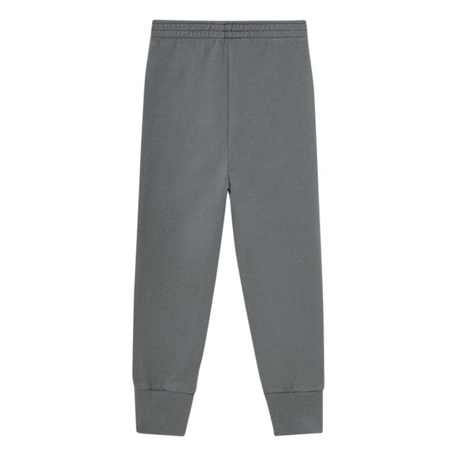 2015 Capsule Panther Jogger | Grey
