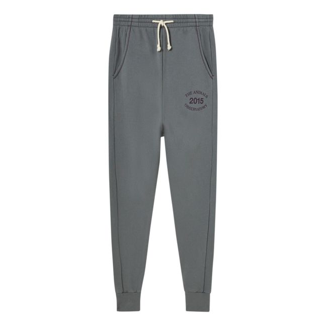 Panther Capsule 2015 Jogger - Adult Collection | Grey