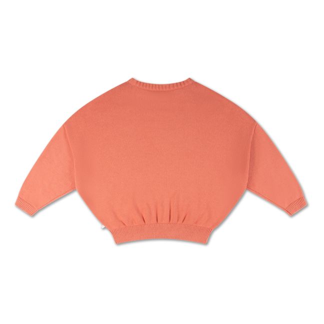 Pull Manches Chauve Souris | Rose