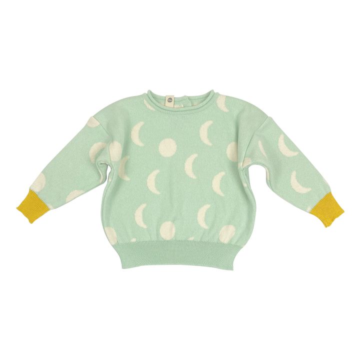 Moon Organic Cotton Knit Sweater | Blasses Grün- Produktbild Nr. 0