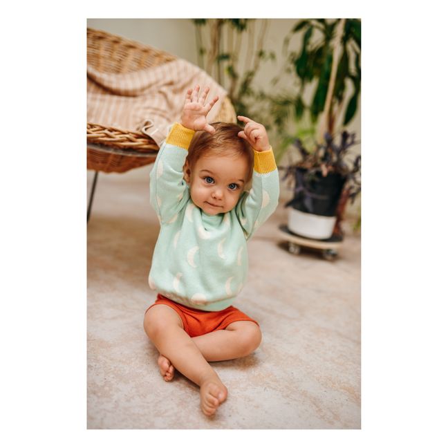 Pull Tricot Coton Bio Moon | Vert pâle