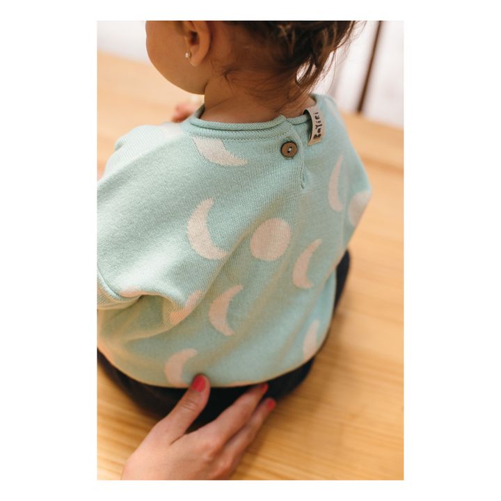 Moon Organic Cotton Knit Sweater | Blasses Grün- Produktbild Nr. 4