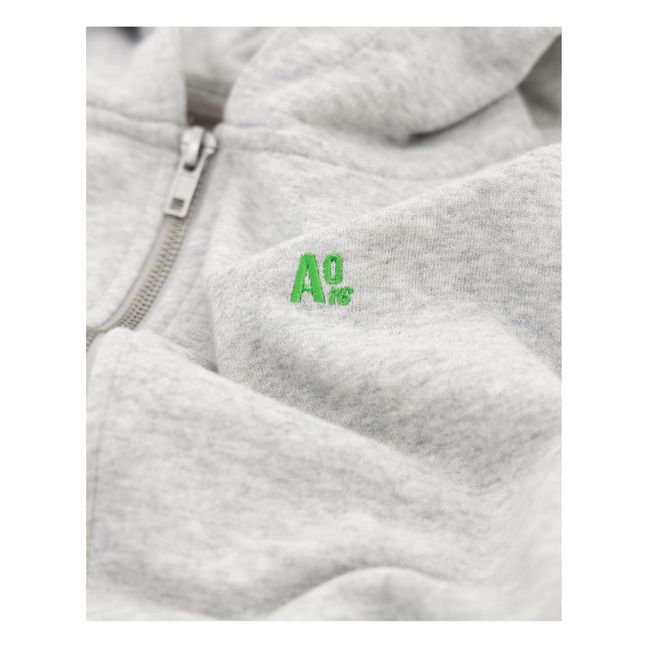 Kapuzensweatshirt Norman AO76 aus recycelter Baumwolle | Grau Meliert