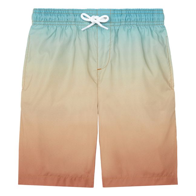 Short De Bain Long Imprimé Gradient | Vert