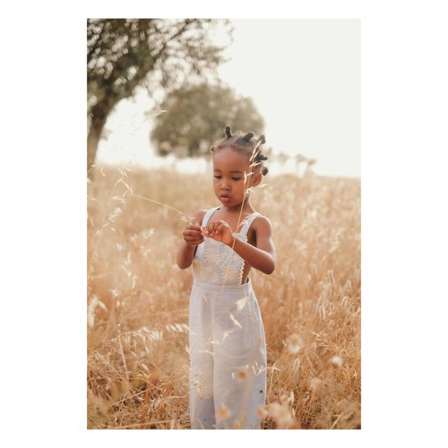 Vidya Striped Overalls | Blu