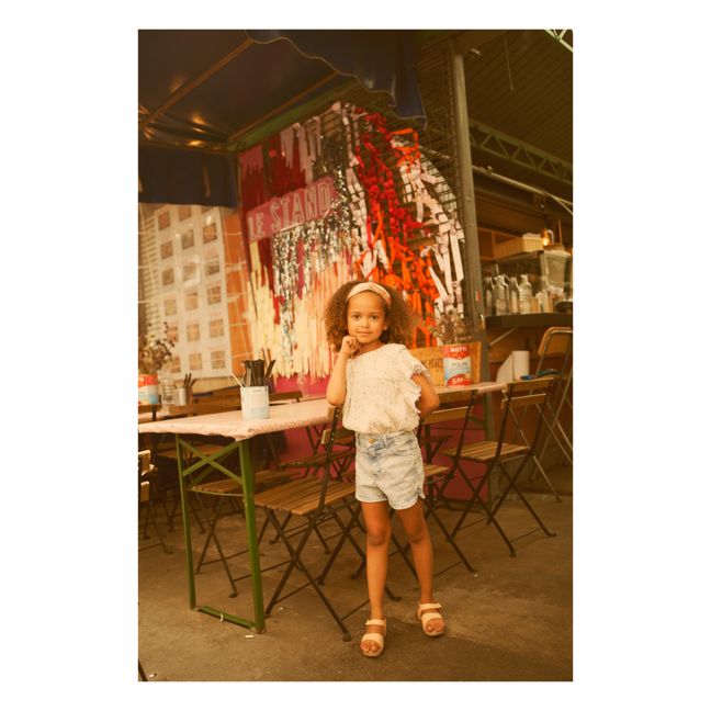 Andrea Shorts | Denim