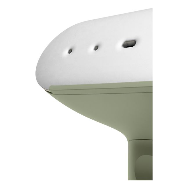 Cirrus N°3 Steamer | Salvia
