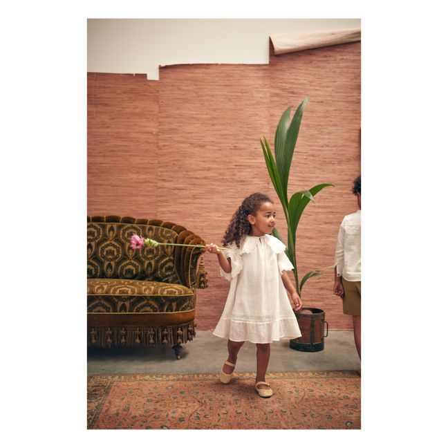 Kleid Bio-Baumwolle Parvati | Seidenfarben
