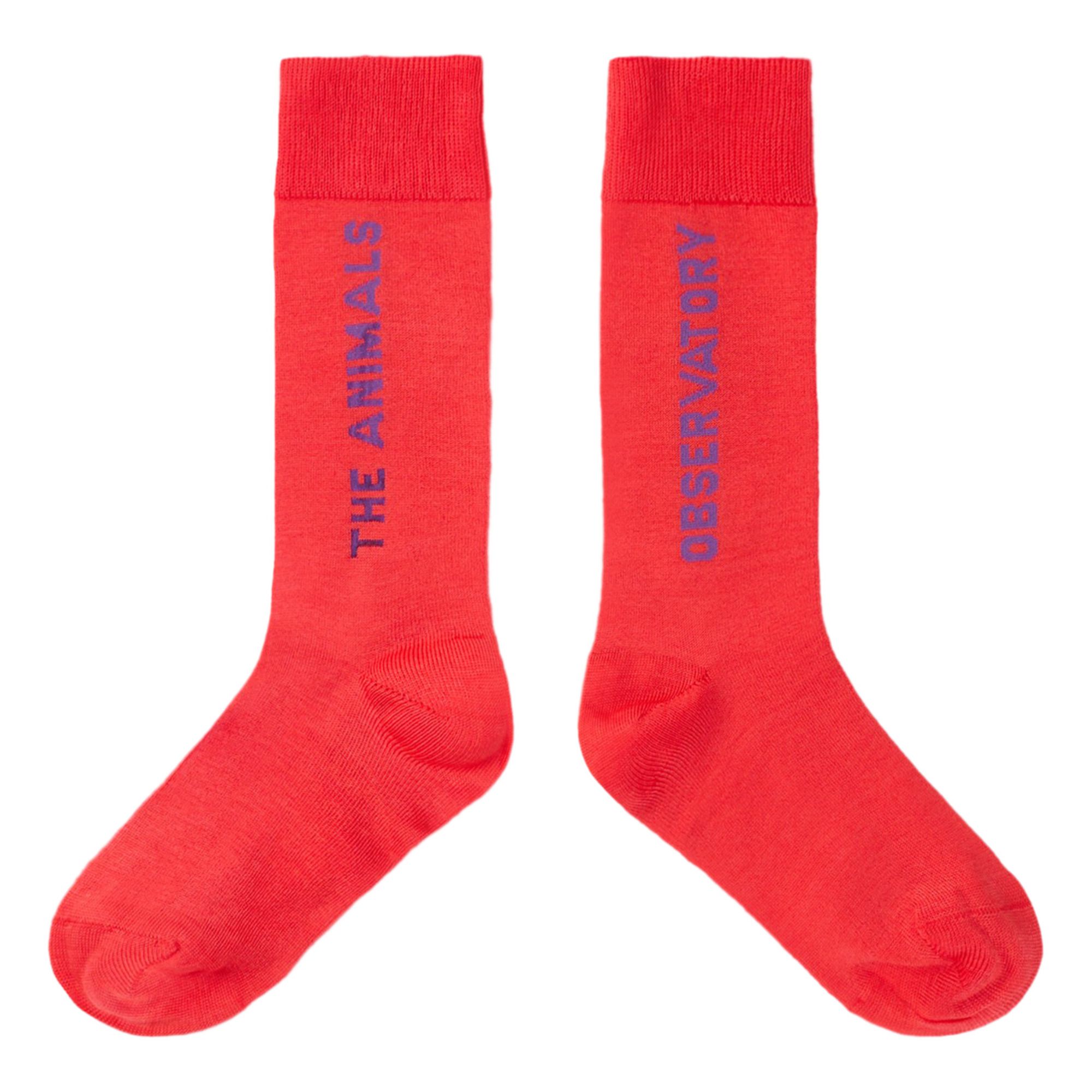 Hen Socks | Rojo- Imagen del producto n°0