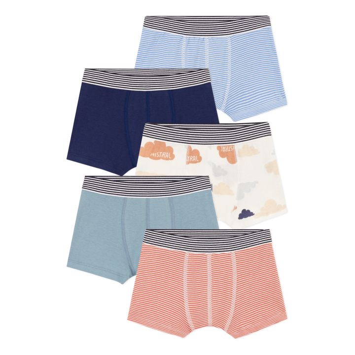 Printed Organic Cotton Boxer Shorts - Set of 5 | Blue- Product image n°0