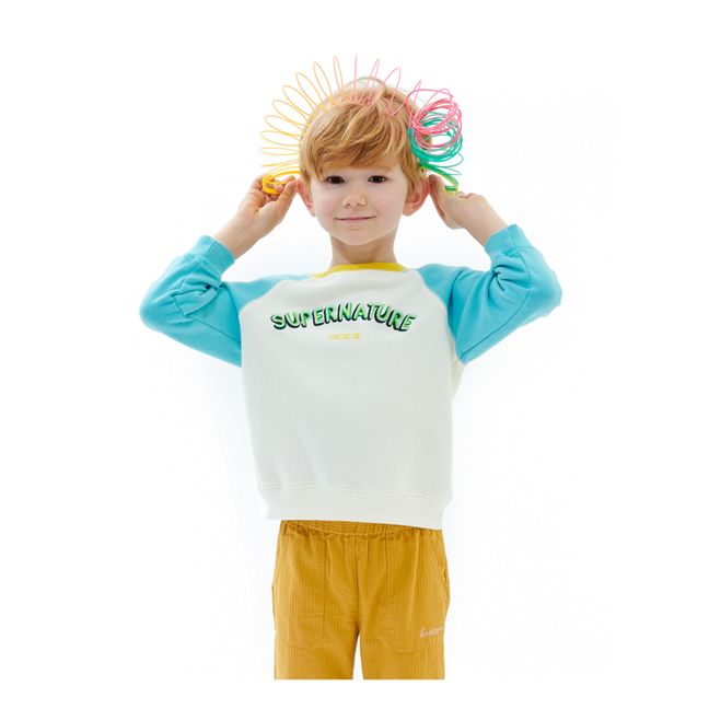 Sweatshirt aus Bio-Baumwolle Natur | Seidenfarben