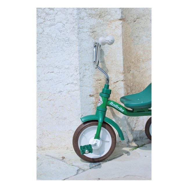 Tricycle avec bac de transport et barre | Green
