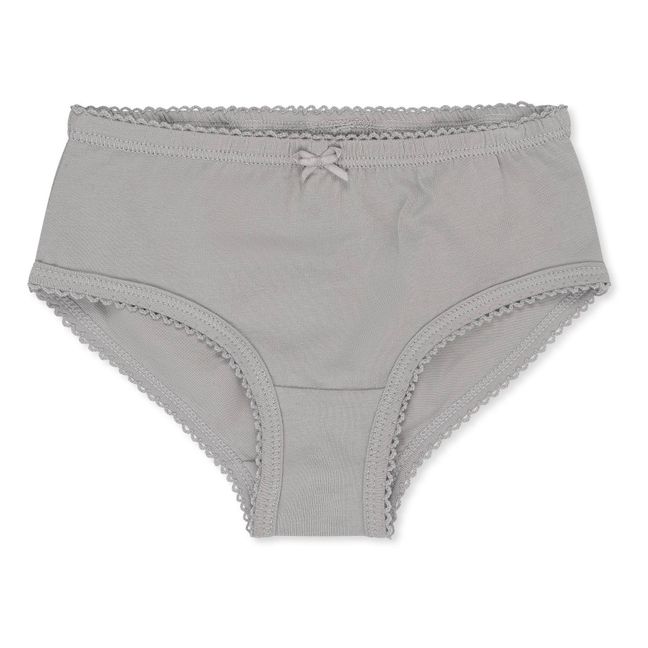 Set di 2 mutande in cotone organico | Grigio