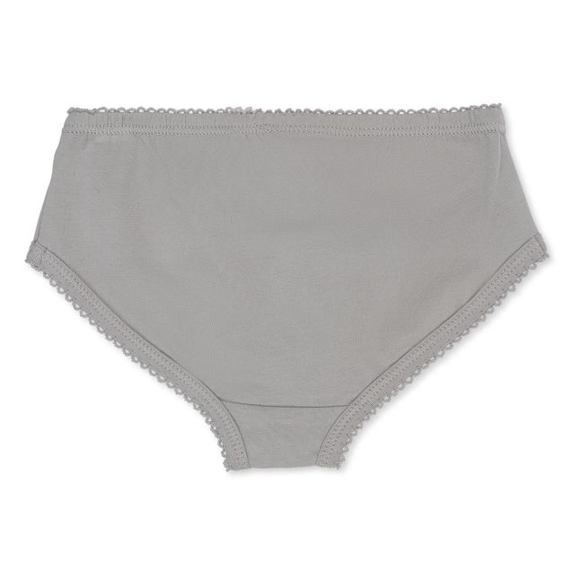 Set di 2 mutande in cotone organico | Grigio