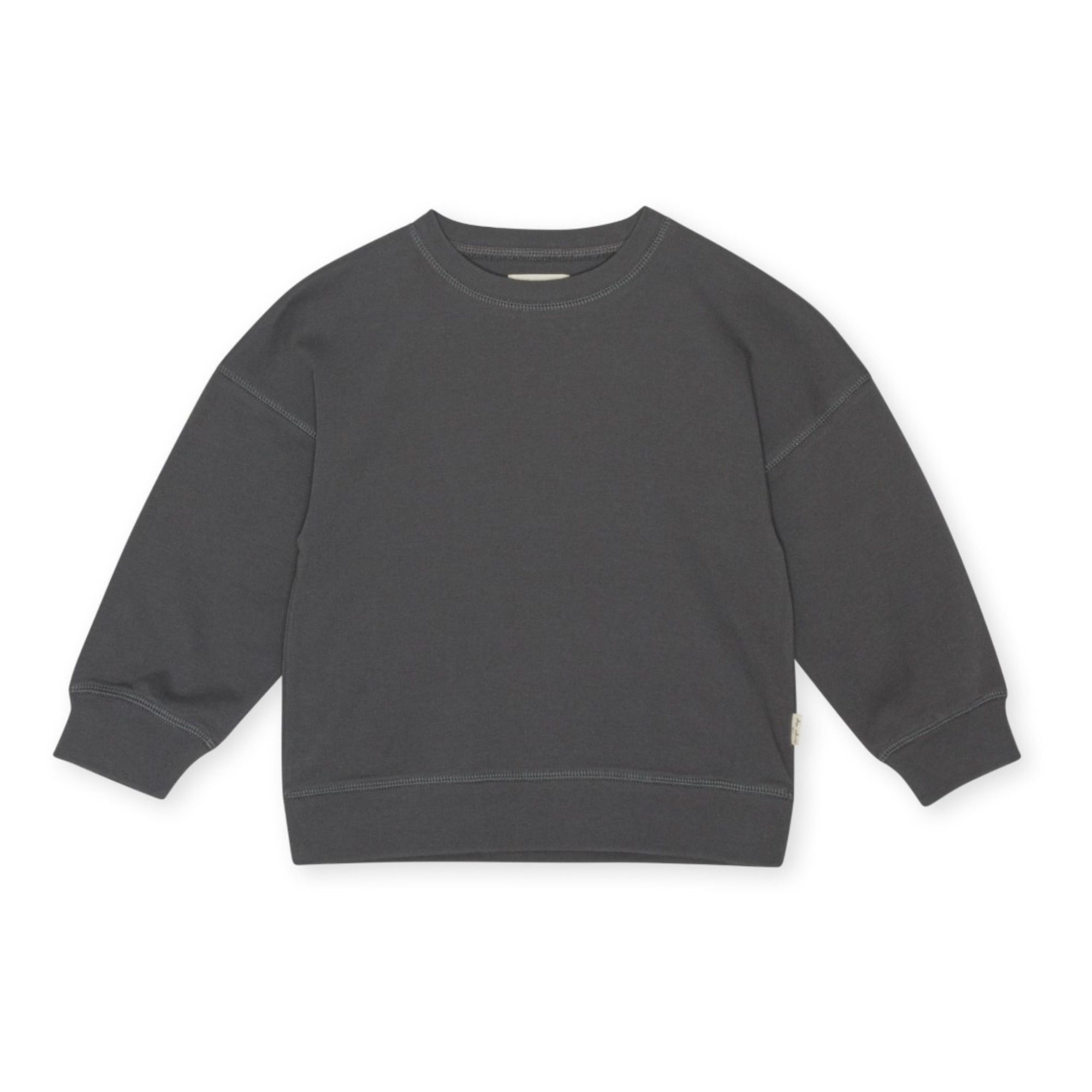 Ebi Crew Neck Sweatshirt | Dark grey- Product image n°0