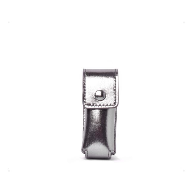 Etui Rouge à Lèvres | Argenté