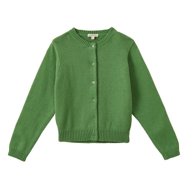 Cardigan Rosa | Vert