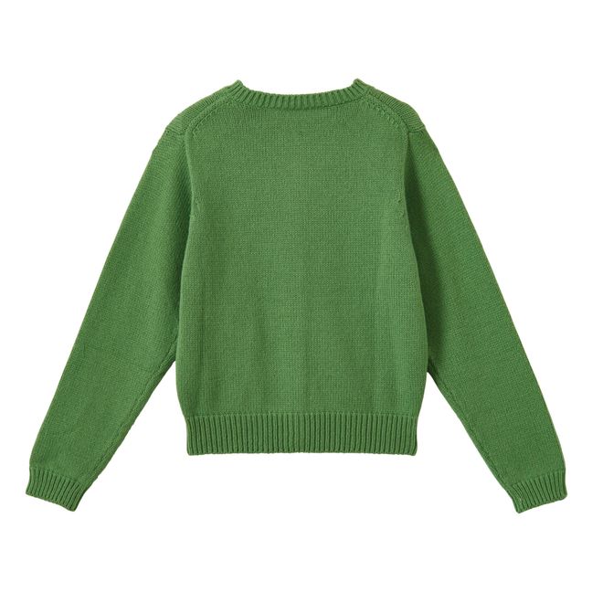 Cardigan Rosa | Vert