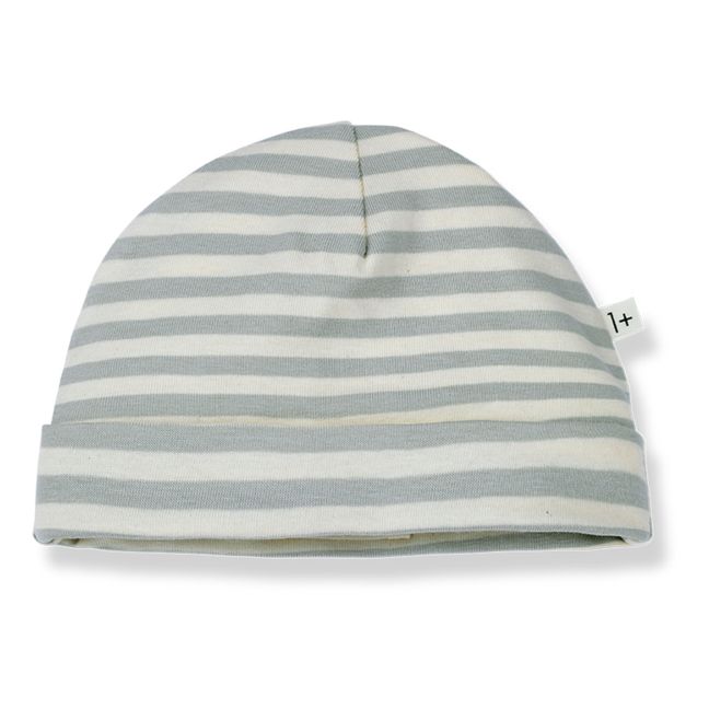 Gorro de punto a rayas Rio | Verde Pálido